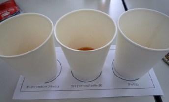 width="344"
